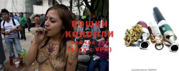 крисы Белокуриха