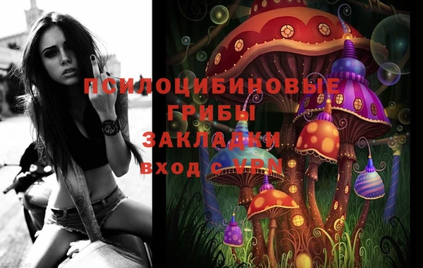 крисы Белокуриха