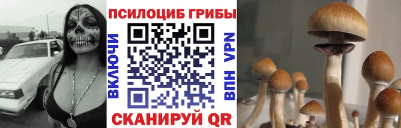 KRAKEN онион Эртиль Галлюциногенные грибы мухоморы закладка